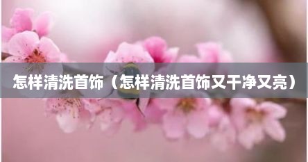 怎样清洗首饰（怎样清洗首饰又干净又亮）
