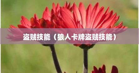 盗贼技能（狼人卡牌盗贼技能）