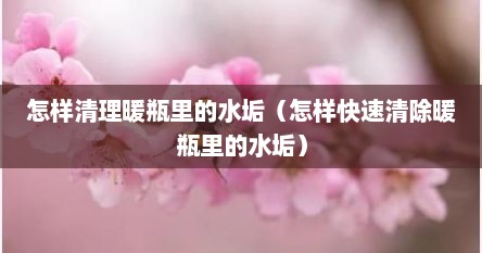 怎样清理暖瓶里的水垢（怎样快速清除暖瓶里的水垢）