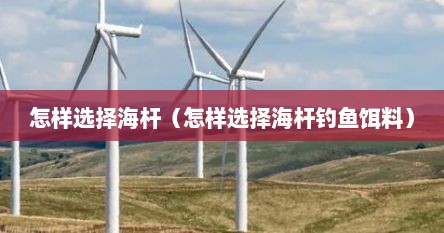 怎样选择海杆（怎样选择海杆钓鱼饵料）