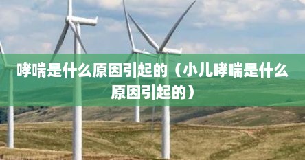 哮喘是什么原因引起的（小儿哮喘是什么原因引起的）