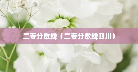 二专分数线（二专分数线四川）