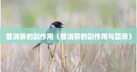 普洱茶的副作用（普洱茶的副作用与禁忌）