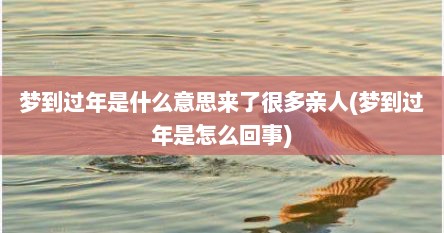 梦到过年是什么意思来了很多亲人(梦到过年是怎么回事)