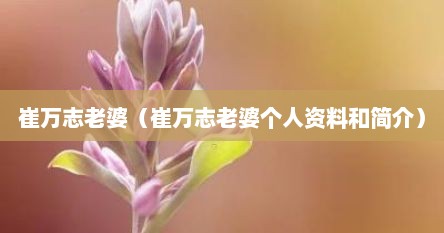 崔万志老婆（崔万志老婆个人资料和简介）