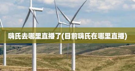 嗨氏去哪里直播了(目前嗨氏在哪里直播)