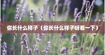 你长什么样子（你长什么样子呀看一下）