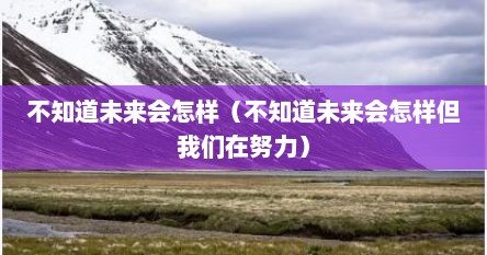 不知道未来会怎样（不知道未来会怎样但我们在努力）