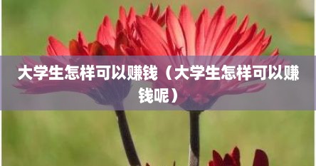 大学生怎样可以赚钱（大学生怎样可以赚钱呢）