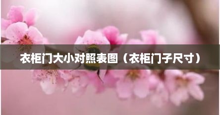 衣柜门大小对照表图（衣柜门子尺寸）