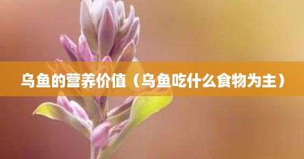 乌鱼的营养价值（乌鱼吃什么食物为主）