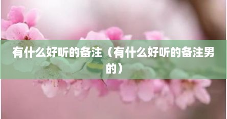 有什么好听的备注（有什么好听的备注男的）