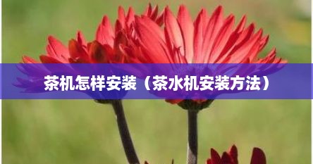 茶机怎样安装（茶水机安装方法）