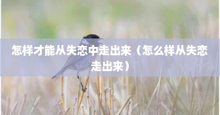 怎样才能从失恋中走出来（怎么样从失恋走出来）