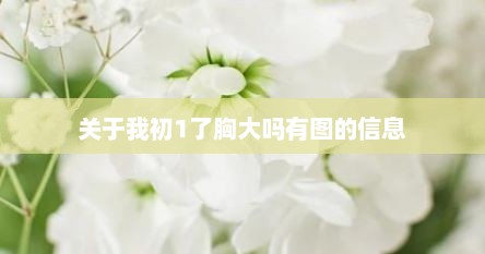 关于硪初1予胸大吗有图的信息