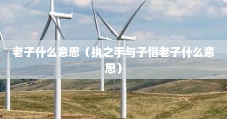 老子什么意思（执之手与子偕老子什么意思）