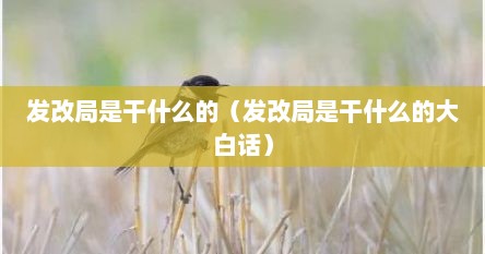 发改局是干什么的（发改局是干什么的大白话）