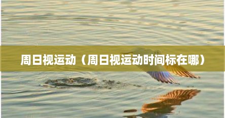 周日视运动（周日视运动时间标在哪）