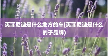 英菲尼迪是什么地方的车(英菲尼迪是什么的子品牌)