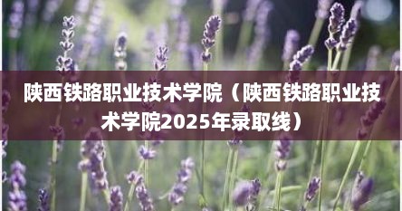 陕西铁路职业技术学院（陕西铁路职业技术学院2025年录取线）