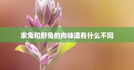 家兔和野兔的肉味道有什么不同
