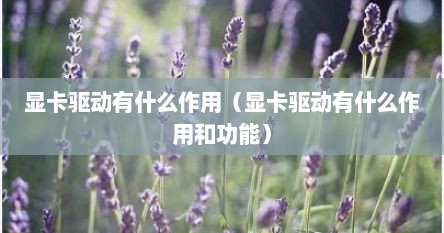 显卡驱动有什么作用（显卡驱动有什么作用和功能）