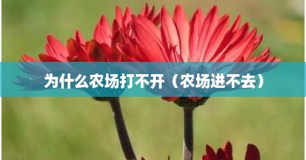为什么农场打不开（农场进不去）