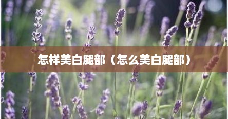 怎样美白腿部（怎么美白腿部）