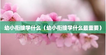 幼小衔接学什么（幼小衔接学什么最重要）