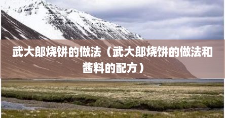武大郎烧饼的做法（武大郎烧饼的做法和酱料的配方）