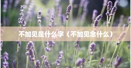 不加见是什么字（不加见念什么）