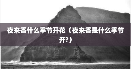 夜来香什么季节开花（夜来香是什么季节开?）