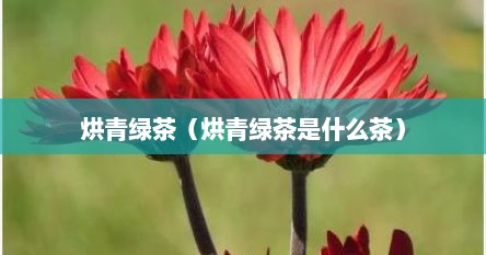 烘青绿茶（烘青绿茶是什么茶）