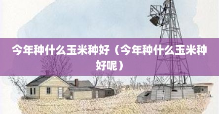 今年种什么玉米种好（今年种什么玉米种好呢）