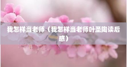 我怎样当老师（我怎样当老师叶圣陶读后感）