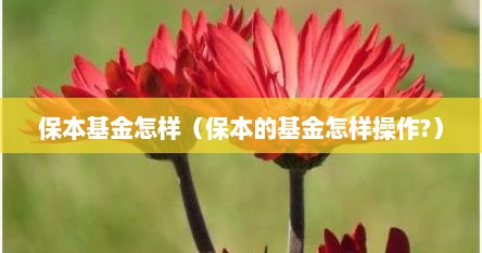 保本基金怎样（保本的基金怎样操作?）