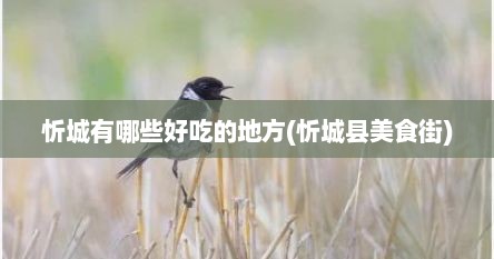 忻城有哪些好吃的地方(忻城县美食街)