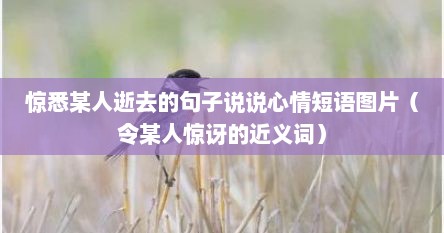 惊悉某人逝去的句子说说心情短语图片（令某人惊讶的近义词）