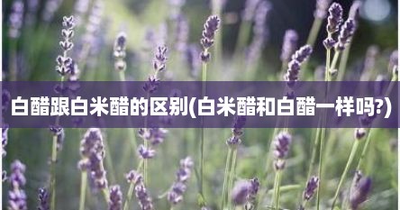 白醋跟白米醋的区别(白米醋和白醋一样吗?)