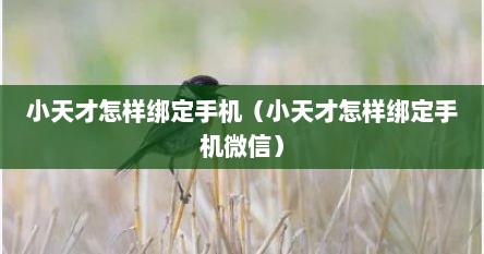 小天才怎样绑定手机（小天才怎样绑定手机微信）