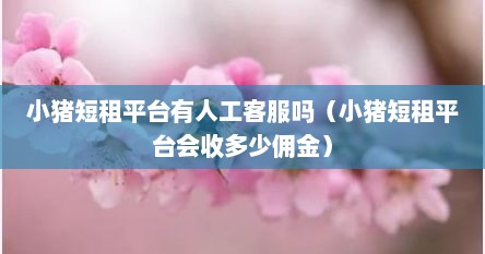 小猪短租平台有人工客服吗（小猪短租平台会收多少佣金）