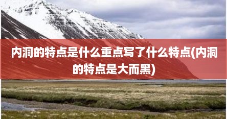 内洞的特点是什么重点写了什么特点(内洞的特点是大而黑)