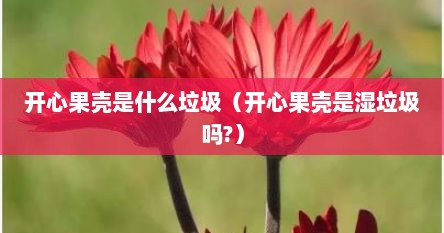 开心果壳是什么垃圾（开心果壳是湿垃圾吗?）