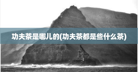 功夫茶是哪儿的(功夫茶都是些什么茶)