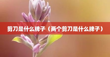 剪刀是什么牌子（两个剪刀是什么牌子）