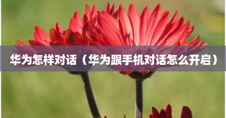 华为怎样对话（华为跟手机对话怎么开启）