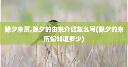 除夕来历,除夕的由来介绍怎么写(除夕的来历你知道多少)