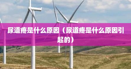 尿道疼是什么原因（尿道疼是什么原因引起的）
