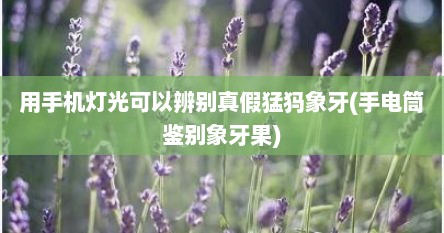 用手机灯光可以辨别真假猛犸象牙(手电筒鉴别象牙果)