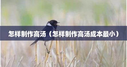 怎样制作高汤（怎样制作高汤成本最小）